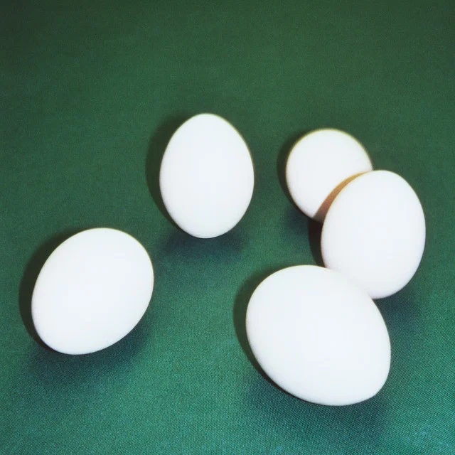 FIVE EGGS — Dumbo Gets Mad